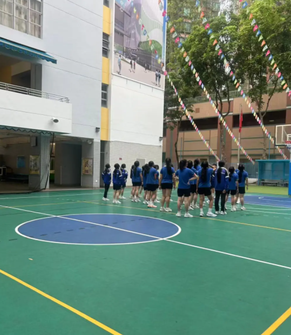 想去香港沙田區(qū)讀中學(xué)，該怎么選學(xué)校？